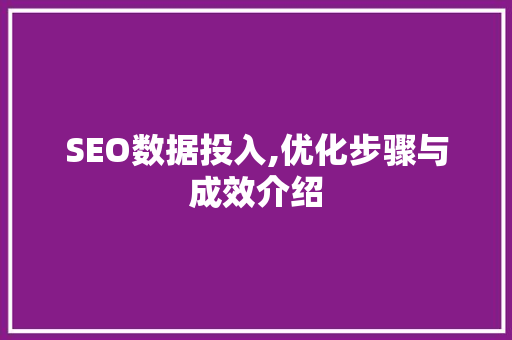 SEO数据投入,优化步骤与成效介绍