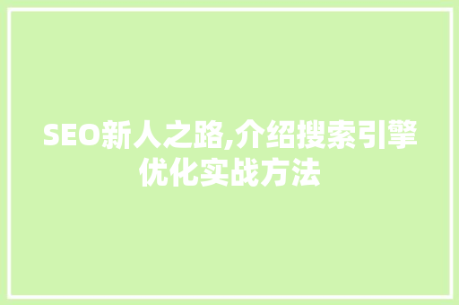 SEO新人之路,介绍搜索引擎优化实战方法
