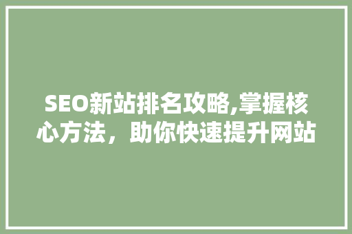 SEO新站排名攻略,掌握核心方法，助你快速提升网站排名