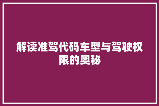 解读准驾代码车型与驾驶权限的奥秘