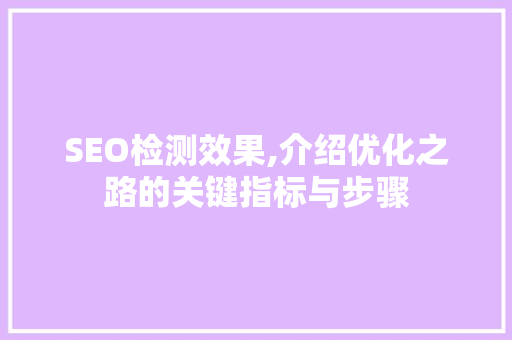 SEO检测效果,介绍优化之路的关键指标与步骤