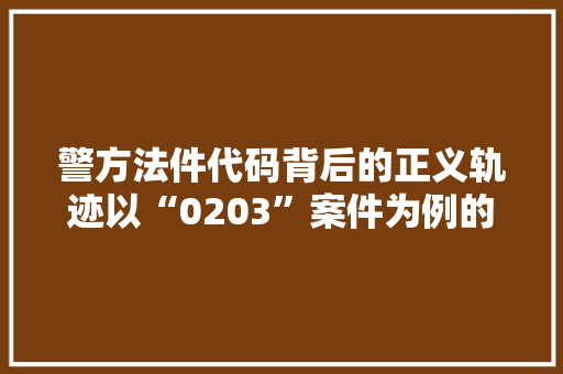 警方法件代码背后的正义轨迹以“0203”案件为例的剖析