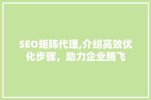 SEO矩阵代理,介绍高效优化步骤，助力企业腾飞
