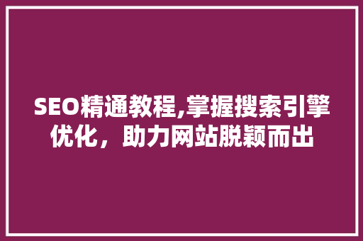 SEO精通教程,掌握搜索引擎优化，助力网站脱颖而出