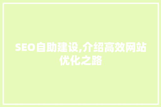 SEO自助建设,介绍高效网站优化之路