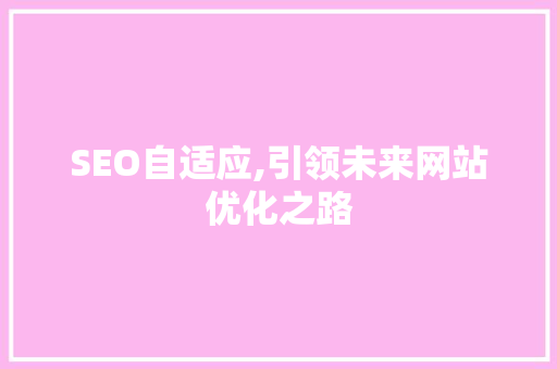 SEO自适应,引领未来网站优化之路