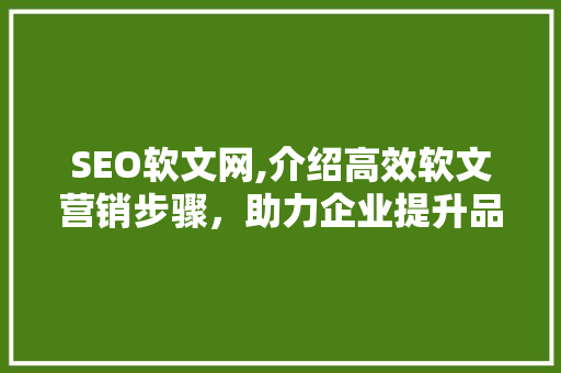 SEO软文网,介绍高效软文营销步骤，助力企业提升品牌影响力