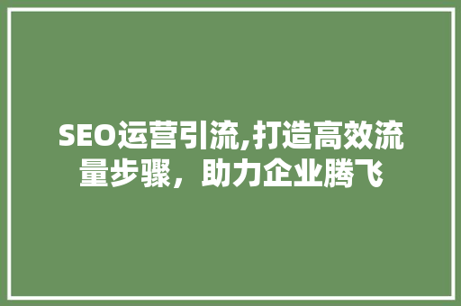 SEO运营引流,打造高效流量步骤，助力企业腾飞