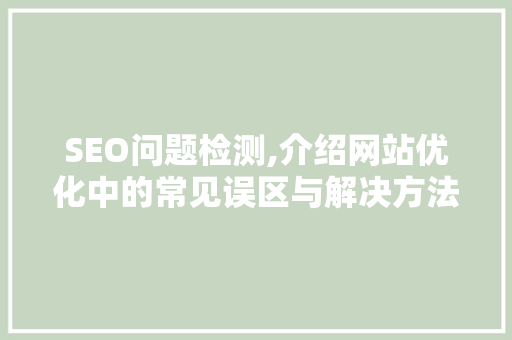 SEO问题检测,介绍网站优化中的常见误区与解决方法