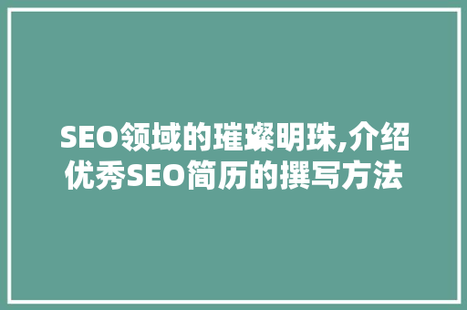 SEO领域的璀璨明珠,介绍优秀SEO简历的撰写方法