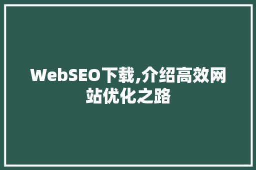 WebSEO下载,介绍高效网站优化之路