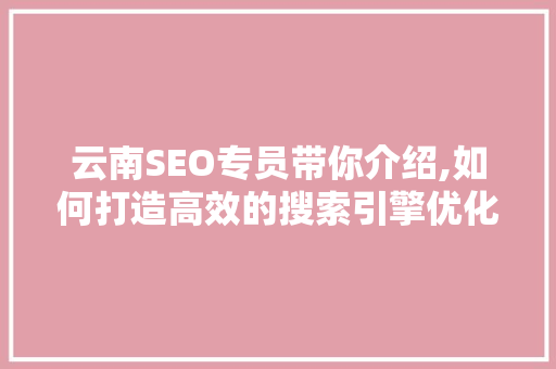云南SEO专员带你介绍,如何打造高效的搜索引擎优化步骤
