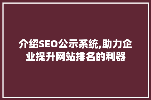 介绍SEO公示系统,助力企业提升网站排名的利器