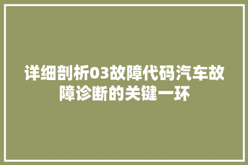 详细剖析03故障代码汽车故障诊断的关键一环