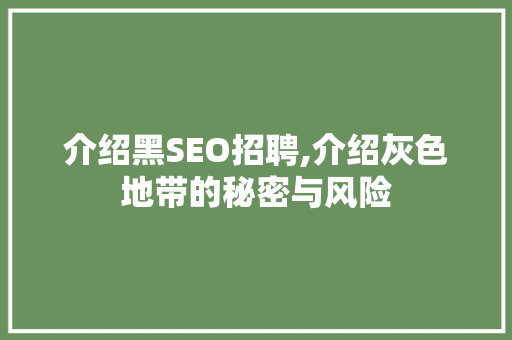 介绍黑SEO招聘,介绍灰色地带的秘密与风险