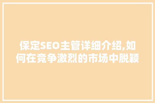 保定SEO主管详细介绍,如何在竞争激烈的市场中脱颖而出