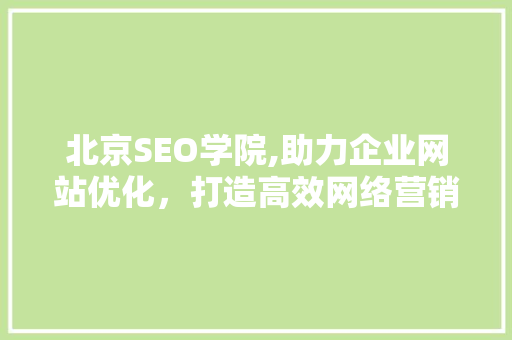 北京SEO学院,助力企业网站优化，打造高效网络营销步骤