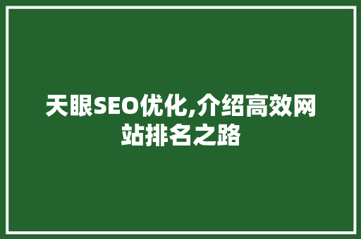 天眼SEO优化,介绍高效网站排名之路