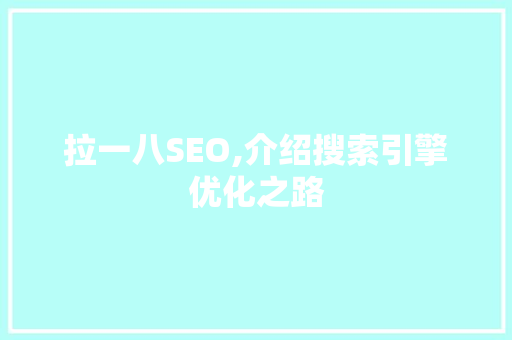 拉一八SEO,介绍搜索引擎优化之路