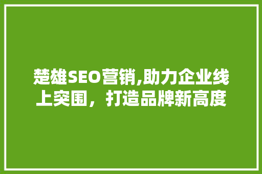 楚雄SEO营销,助力企业线上突围，打造品牌新高度