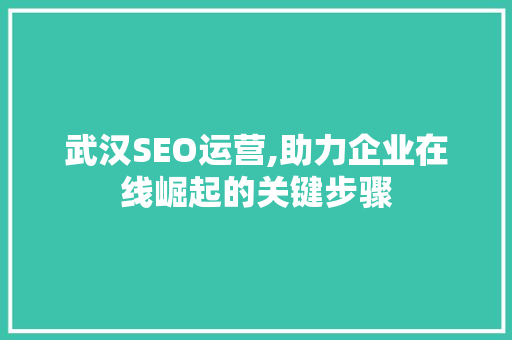 武汉SEO运营,助力企业在线崛起的关键步骤