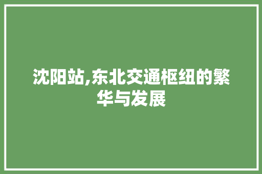 沈阳站,东北交通枢纽的繁华与发展