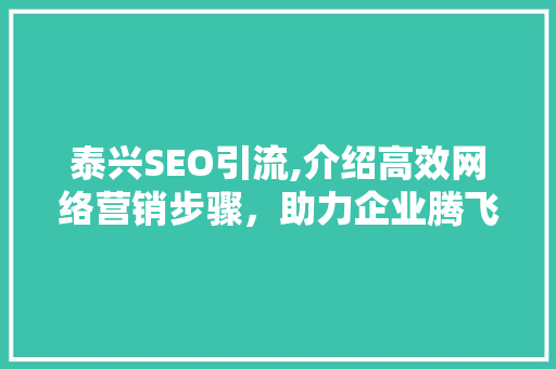 泰兴SEO引流,介绍高效网络营销步骤，助力企业腾飞