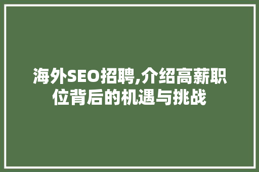 海外SEO招聘,介绍高薪职位背后的机遇与挑战