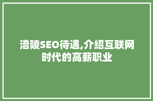 涪陵SEO待遇,介绍互联网时代的高薪职业