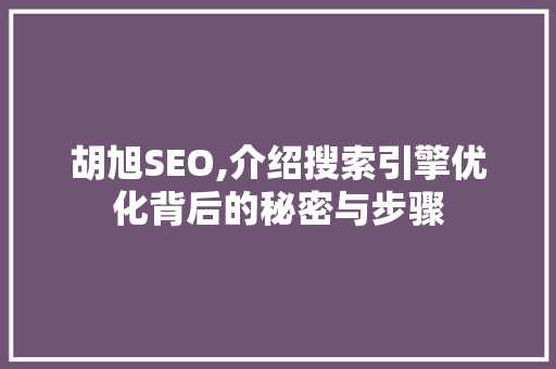 胡旭SEO,介绍搜索引擎优化背后的秘密与步骤