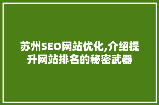 苏州SEO网站优化,介绍提升网站排名的秘密武器