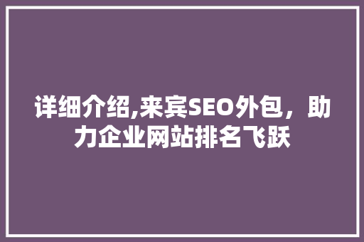 详细介绍,来宾SEO外包，助力企业网站排名飞跃