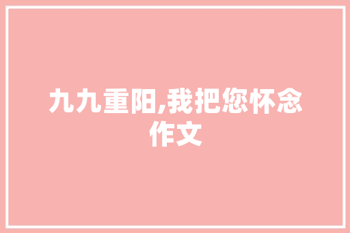 详细介绍店铺SEO费用,投资与回报的完美平衡