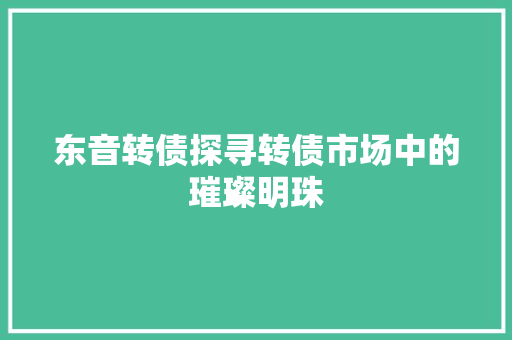 东音转债探寻转债市场中的璀璨明珠