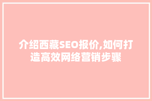介绍西藏SEO报价,如何打造高效网络营销步骤