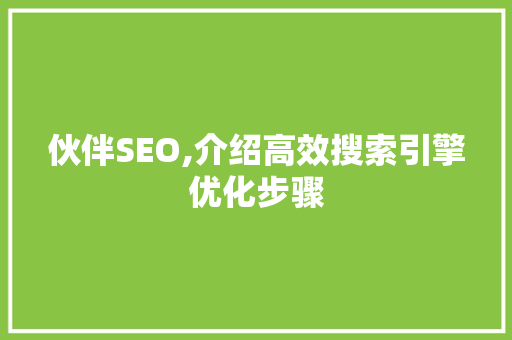 伙伴SEO,介绍高效搜索引擎优化步骤