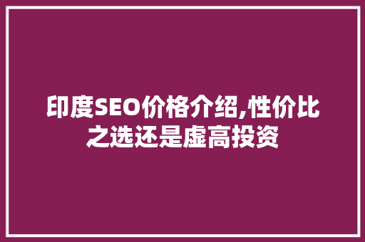 印度SEO价格介绍,性价比之选还是虚高投资
