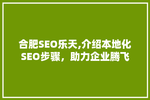 合肥SEO乐天,介绍本地化SEO步骤，助力企业腾飞