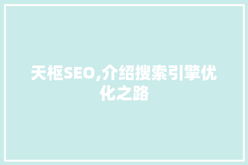 天枢SEO,介绍搜索引擎优化之路