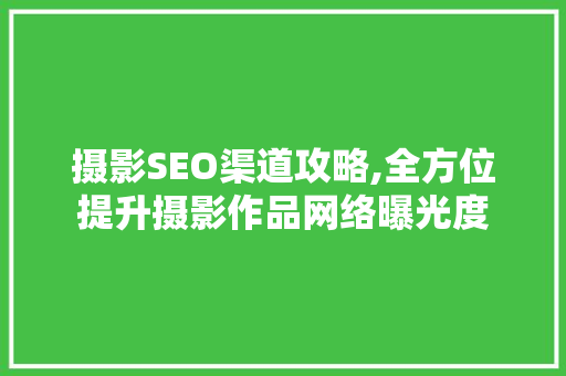 摄影SEO渠道攻略,全方位提升摄影作品网络曝光度
