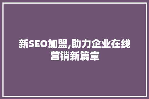 新SEO加盟,助力企业在线营销新篇章