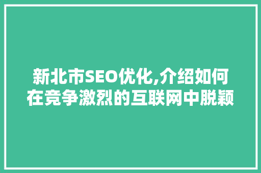 新北市SEO优化,介绍如何在竞争激烈的互联网中脱颖而出