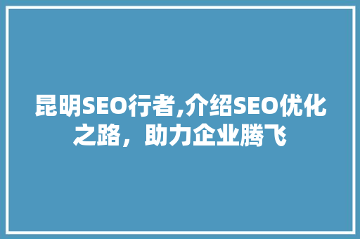 昆明SEO行者,介绍SEO优化之路，助力企业腾飞