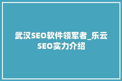 武汉SEO软件领军者_乐云SEO实力介绍