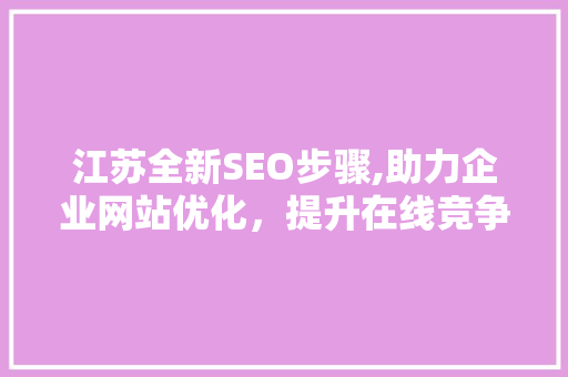 江苏全新SEO步骤,助力企业网站优化，提升在线竞争力