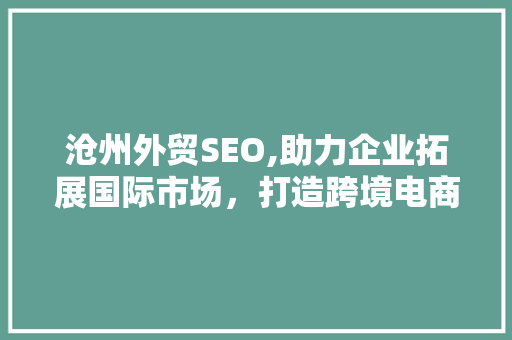 沧州外贸SEO,助力企业拓展国际市场，打造跨境电商新格局