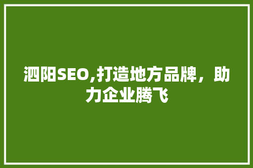 泗阳SEO,打造地方品牌，助力企业腾飞