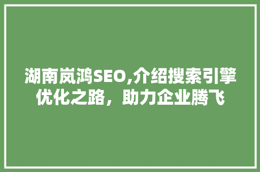 湖南岚鸿SEO,介绍搜索引擎优化之路，助力企业腾飞