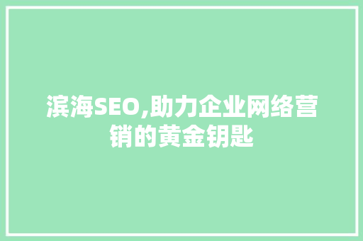 滨海SEO,助力企业网络营销的黄金钥匙