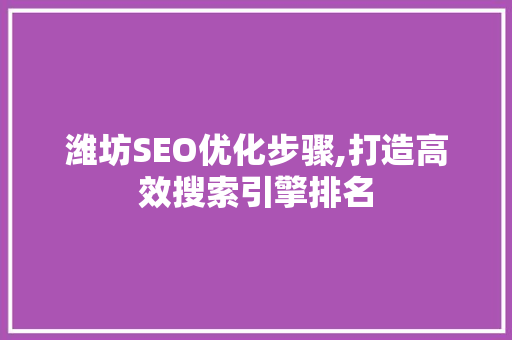潍坊SEO优化步骤,打造高效搜索引擎排名